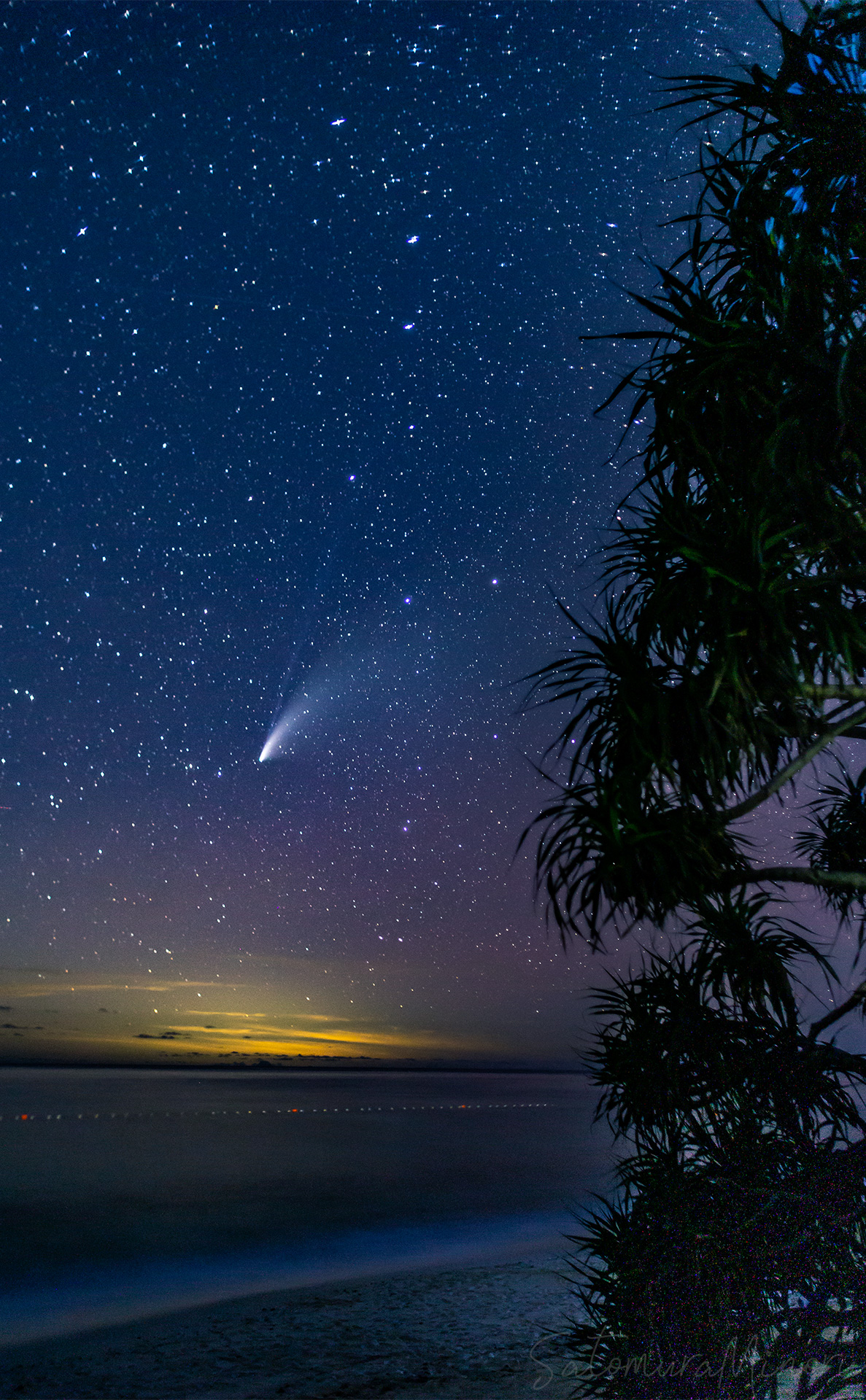 奄美大島でのネオワイズ彗星